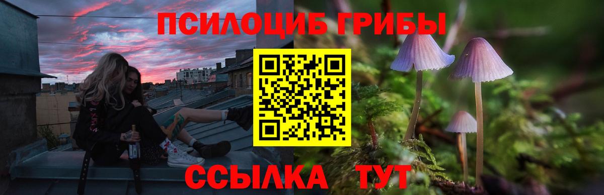 Галлюциногенные грибы GOLDEN TEACHER  Псилоцибиновые грибы MAGIC MUSHROOMS  Электрогорск  Вход с VPN 