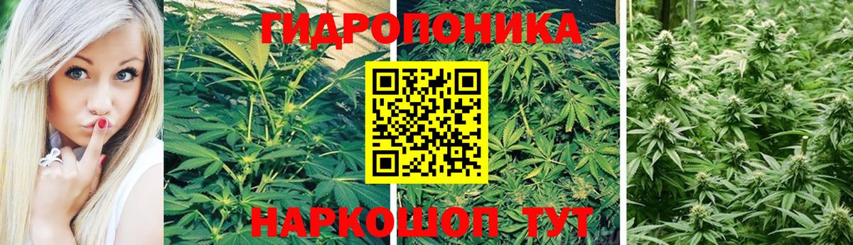 Бошки Шишки White Widow Электрогорск